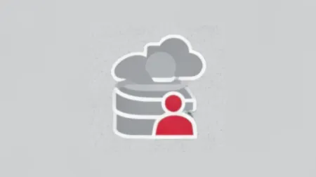 End-to-end BC implementation and hypercare.